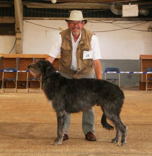 2nd open dog
